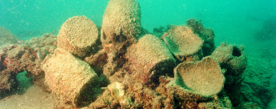 Changsha ewers trapped in a coral concretion on the top of the wreck mound.