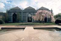 Sackler with blooming cherry blossom tree