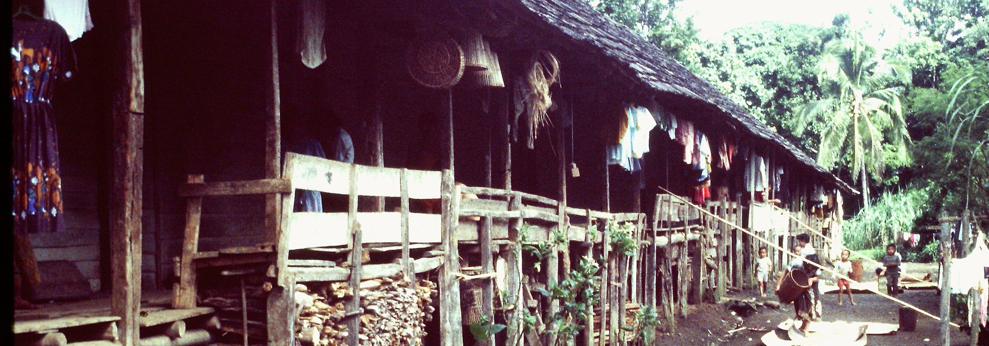 detail, figure 1. A longhouse in the Kenyah Lepo.
