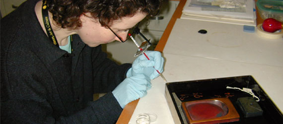Objects Conservator Ellen Chase working in the lab.